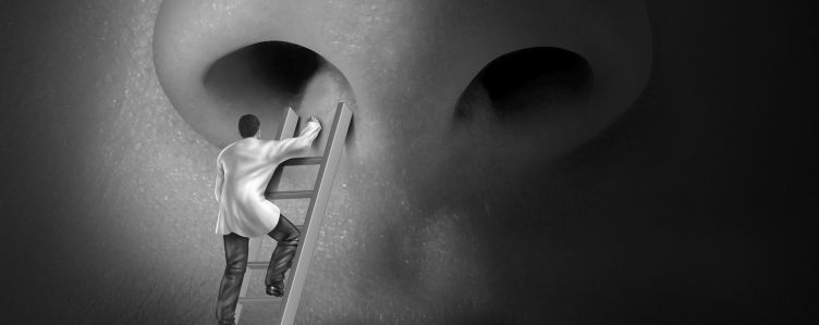 Безоперационная ринопластика. Методики достижения совершенства пропорций носа.