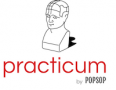 Popsop Practicum. Part 1. "Design and business"