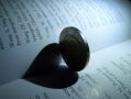 Finance for Non-Financial Managers