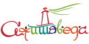 New Year's program with Oleg Torsunovym