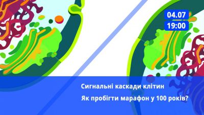 Сигнальні каскади клітини. Як пробігти марафон у 100 років?