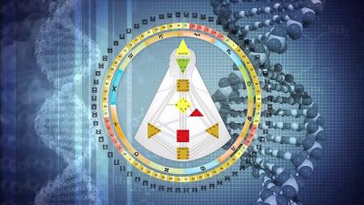 Стратегії ефективного розвитку в житті та кар’єрі: Human Design (Дизайн Людини)