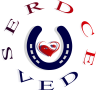 Reference Point Therapy