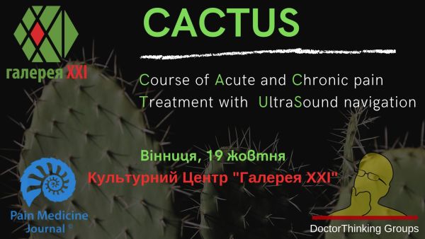 medicine CACTUS - Course of Acute and Chronic pain Treatment with UltraSound navigation