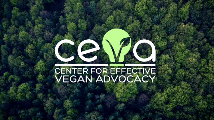 Center for Effective Vegan Advocacy Workshop