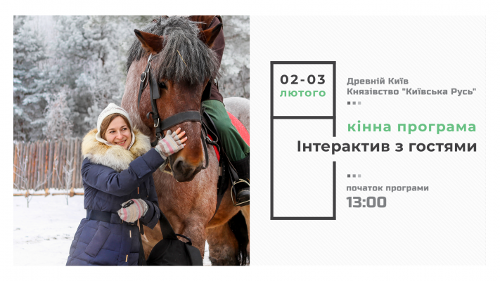 Horse program - interactive with guests